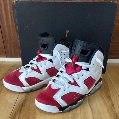 Nike Air Jordan 6 "Carmine" (2021)