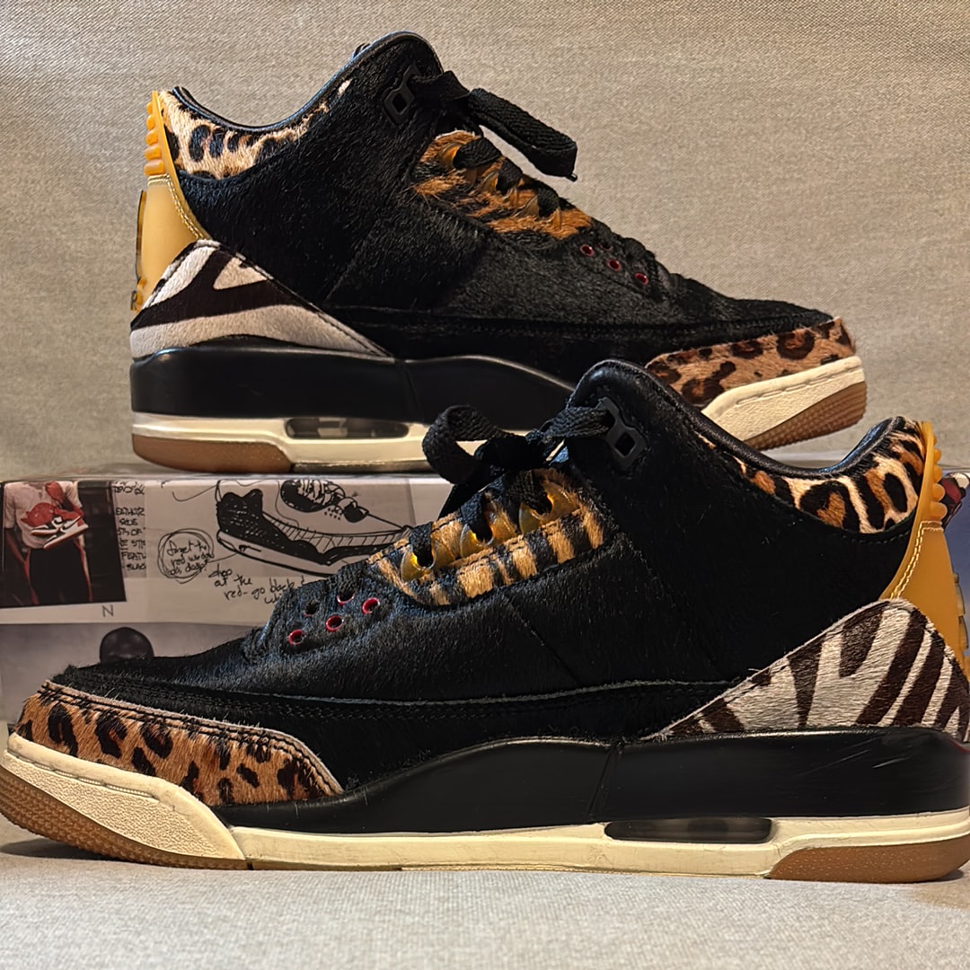 Nike Air Jordan 3 Retro SE "Animal Instinct/Safari"