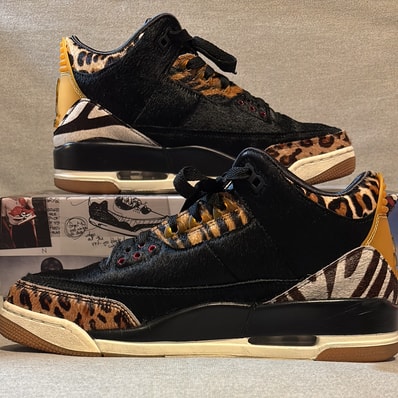 Nike Air Jordan 3 Retro SE "Animal Instinct/Safari"