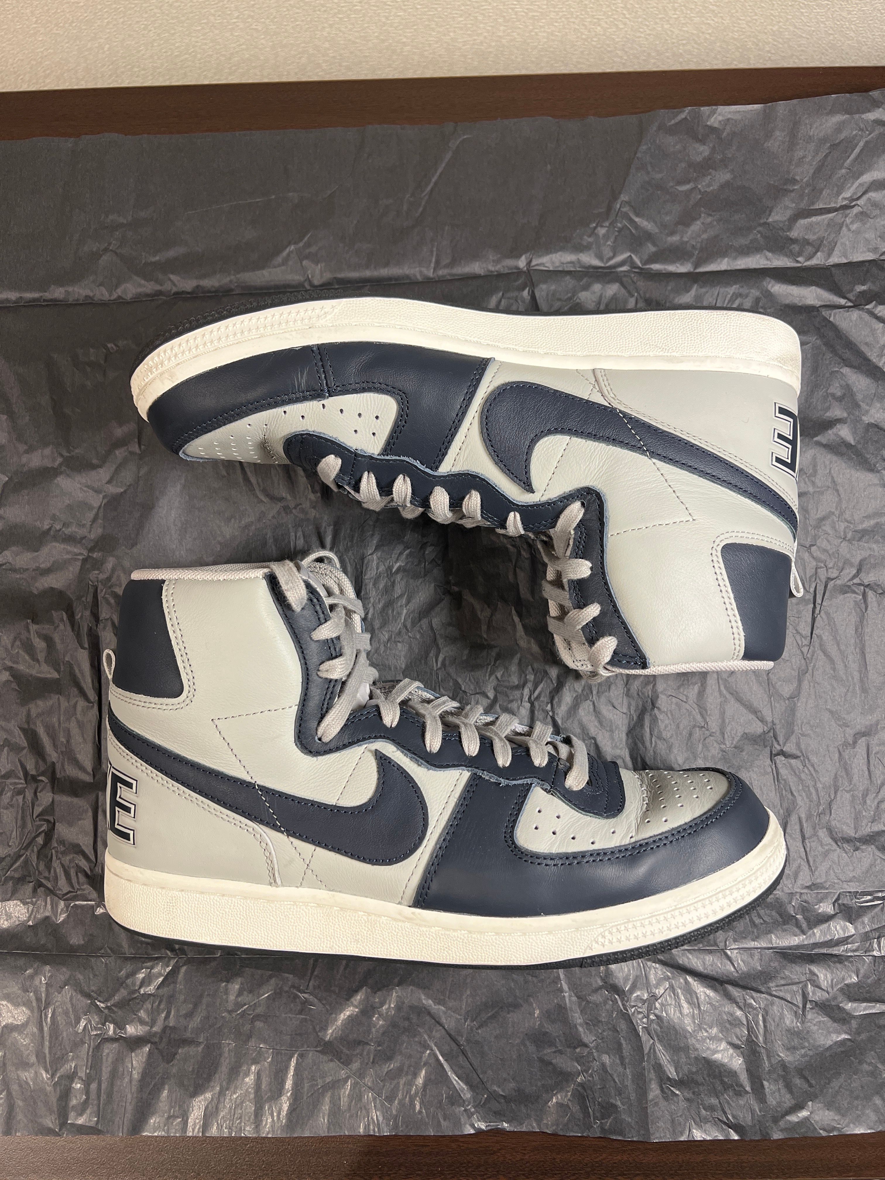 Nike Terminator High "Georgetown/Granite and Dark Obsidian"(2022)