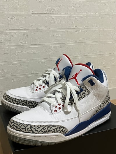 Nike Air Jordan 3 Retro "True Blue" (2016)
