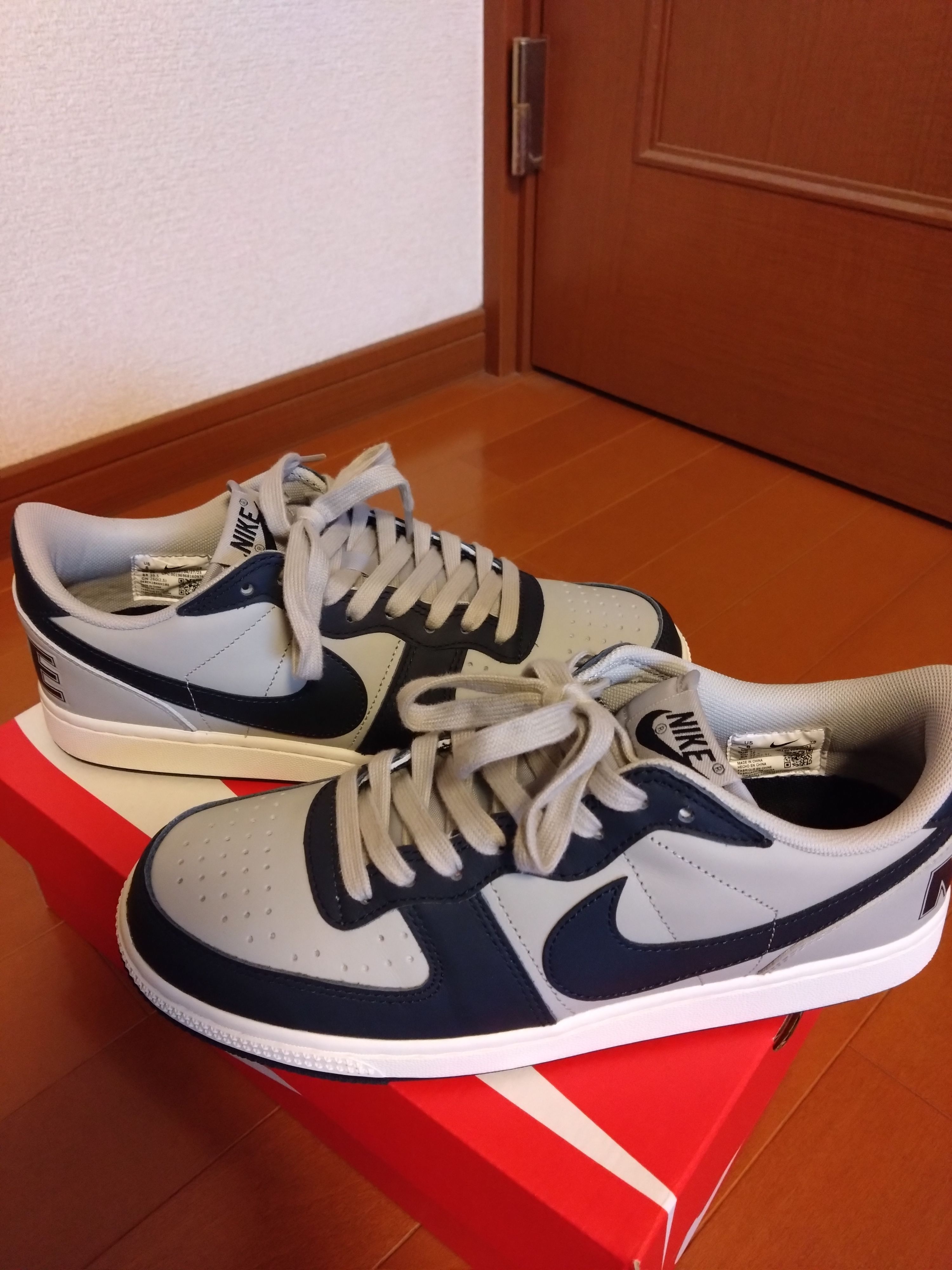 Nike Terminator Low "Dark Obsidian and Granite/Georgetown"(2023)