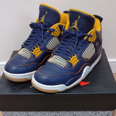 Nike Air Jordan 4 Retro "Dunk From Above"