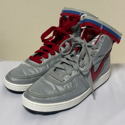 Nike Vandal High Supreme QS "Metallic Silver" (2017)