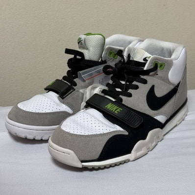 Nike SB Air Trainer 1 "Chlorophyll"