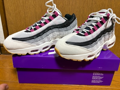 Nike SB Air Max 95 "Summit White/Cactus Flower"