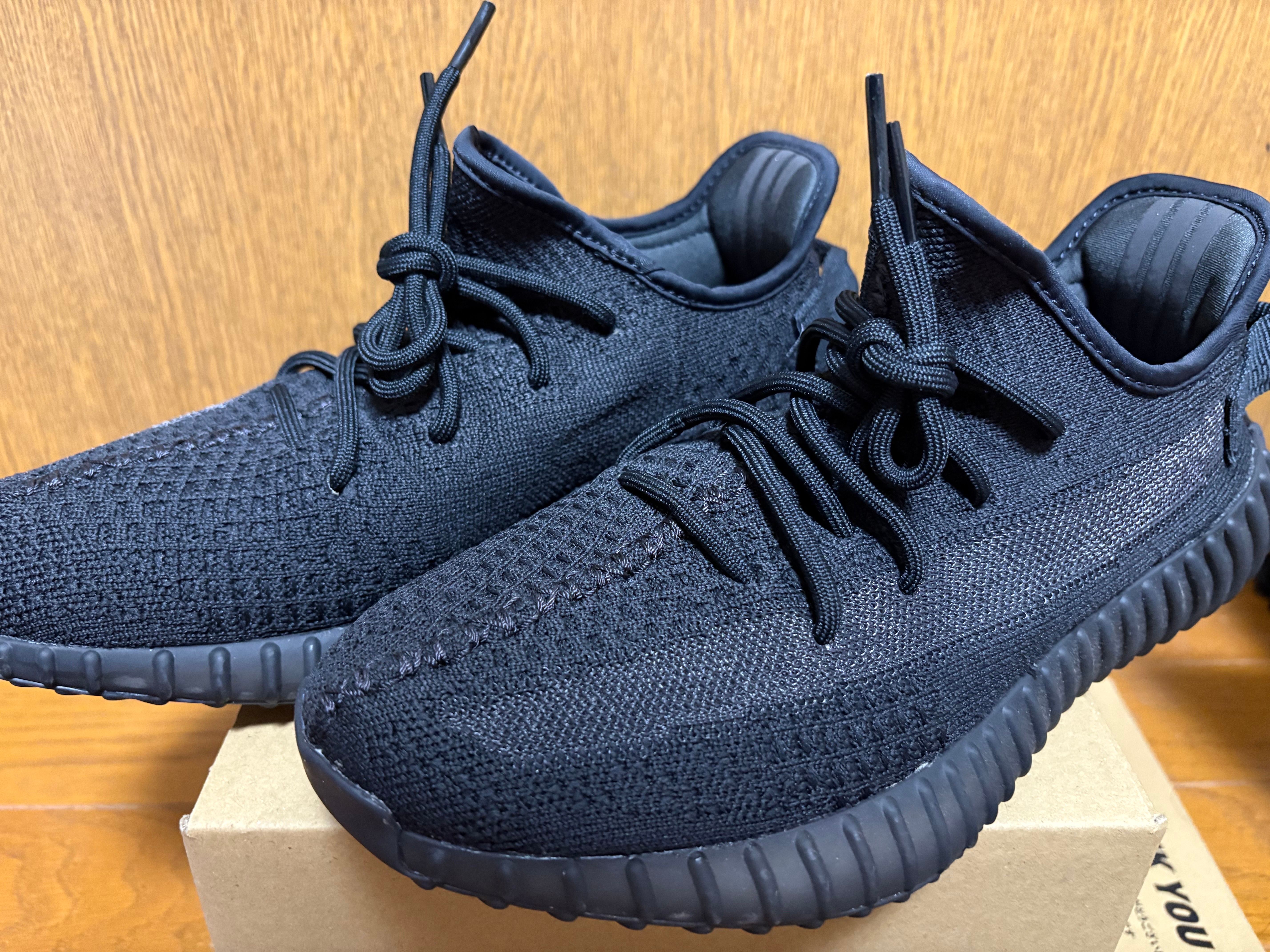 adidas YEEZY Boost 350V2 "Onyx"