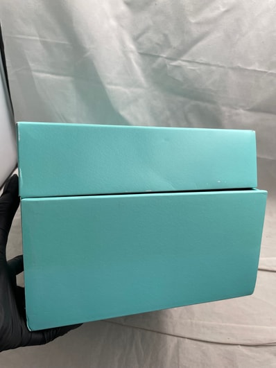 Tiffany & Co. × Nike Air Force 1 Low "1837"