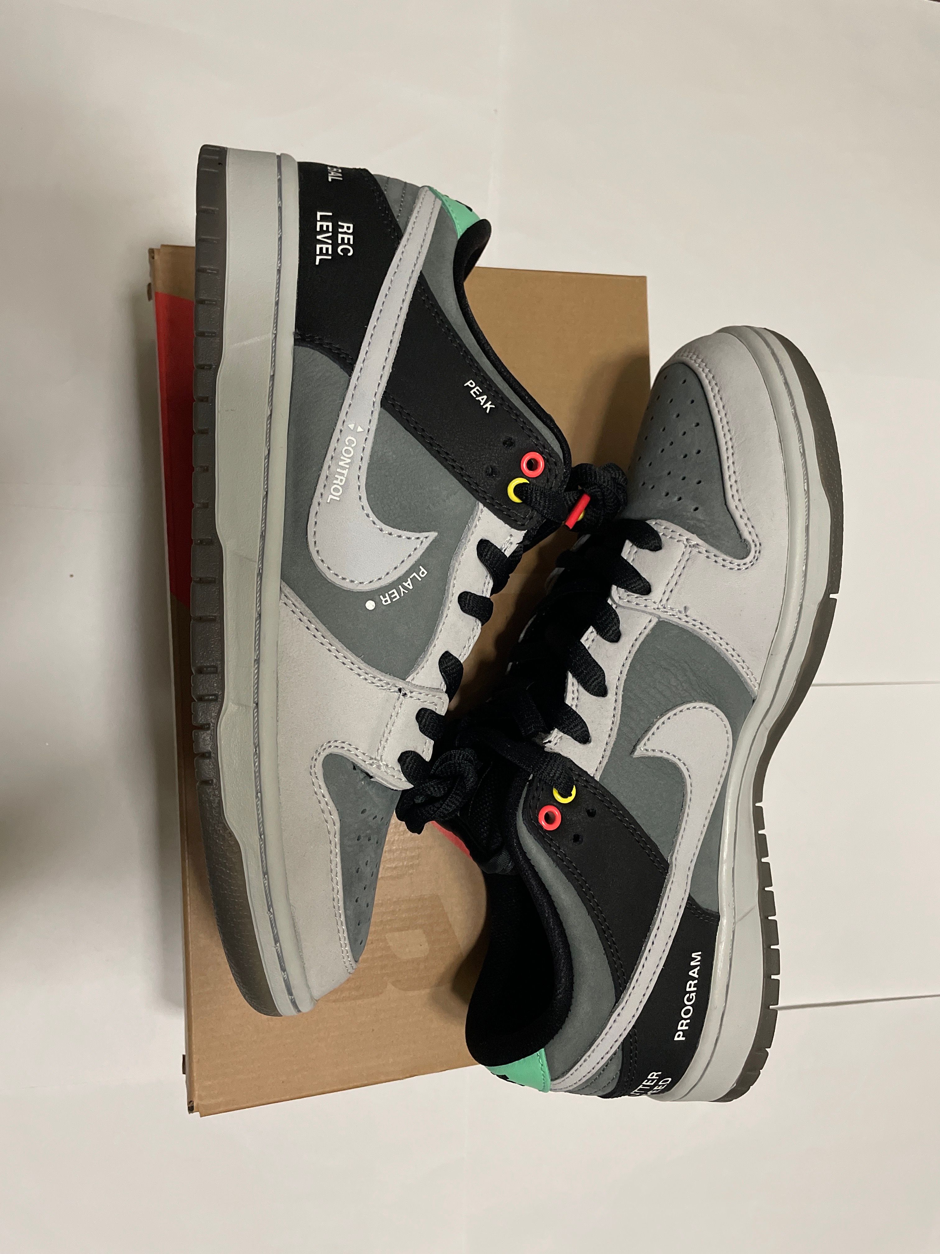 Nike SB Dunk Low Pro "VX1000 Camcorder"