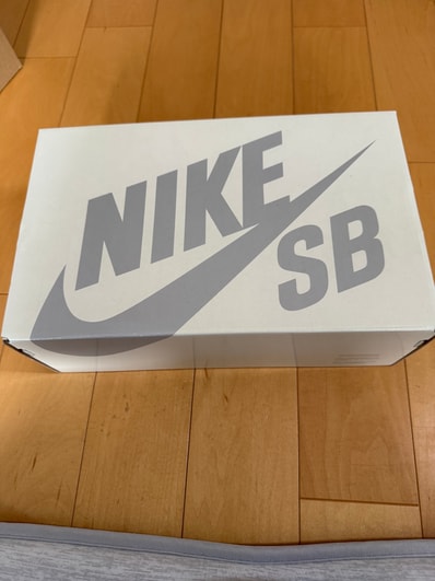 Supreme × Nike SB Dunk Low "Rammellzee"