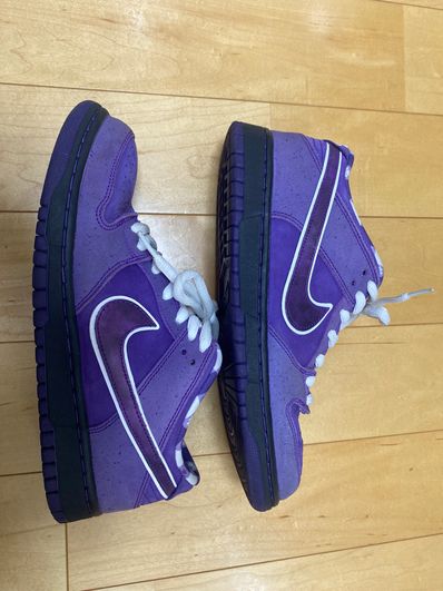 Concepts × Nike SB Dunk Low "Purple Lobster"