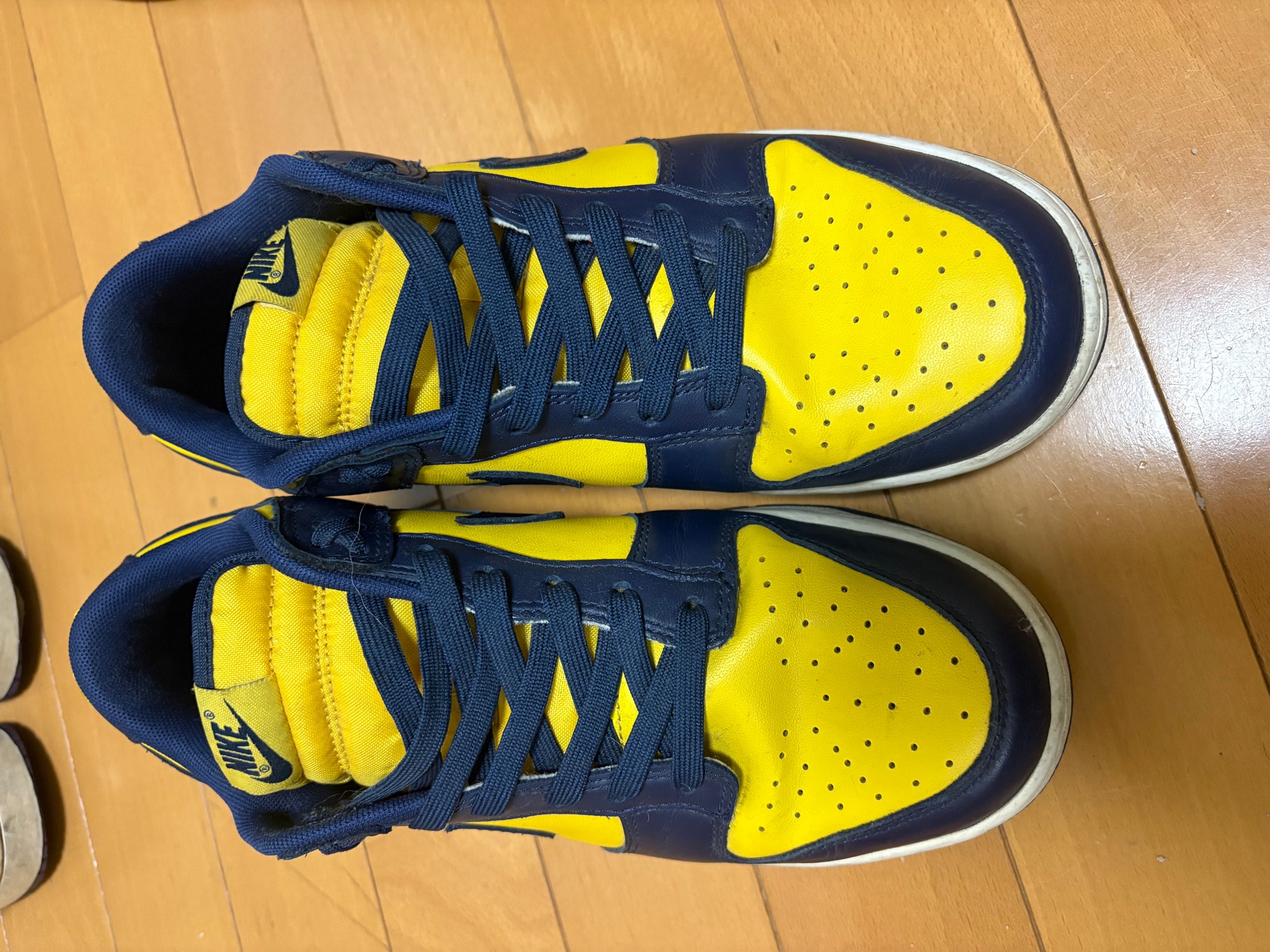 Nike Dunk Low "Michigan"
