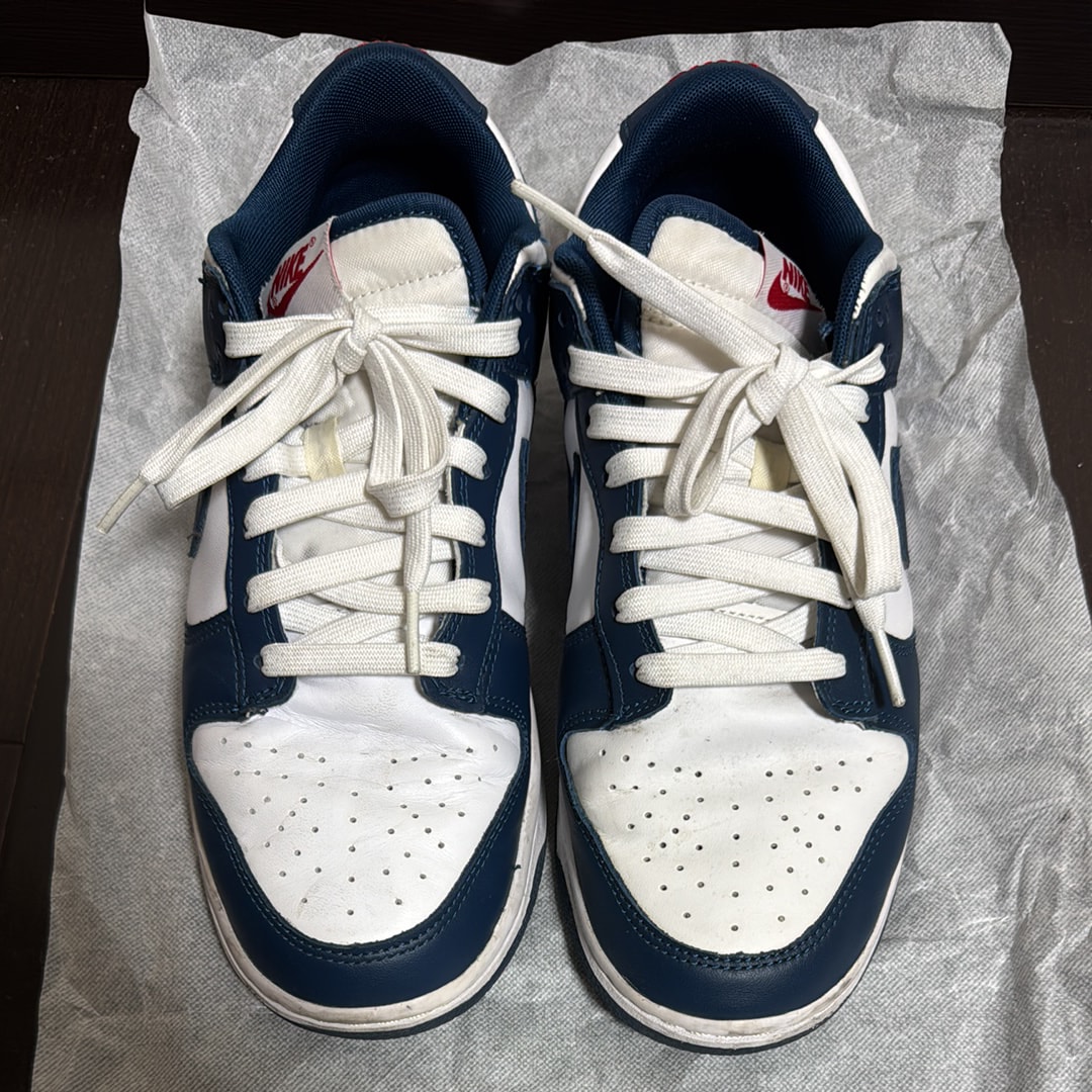 Nike Dunk Low "Valerian Blue"