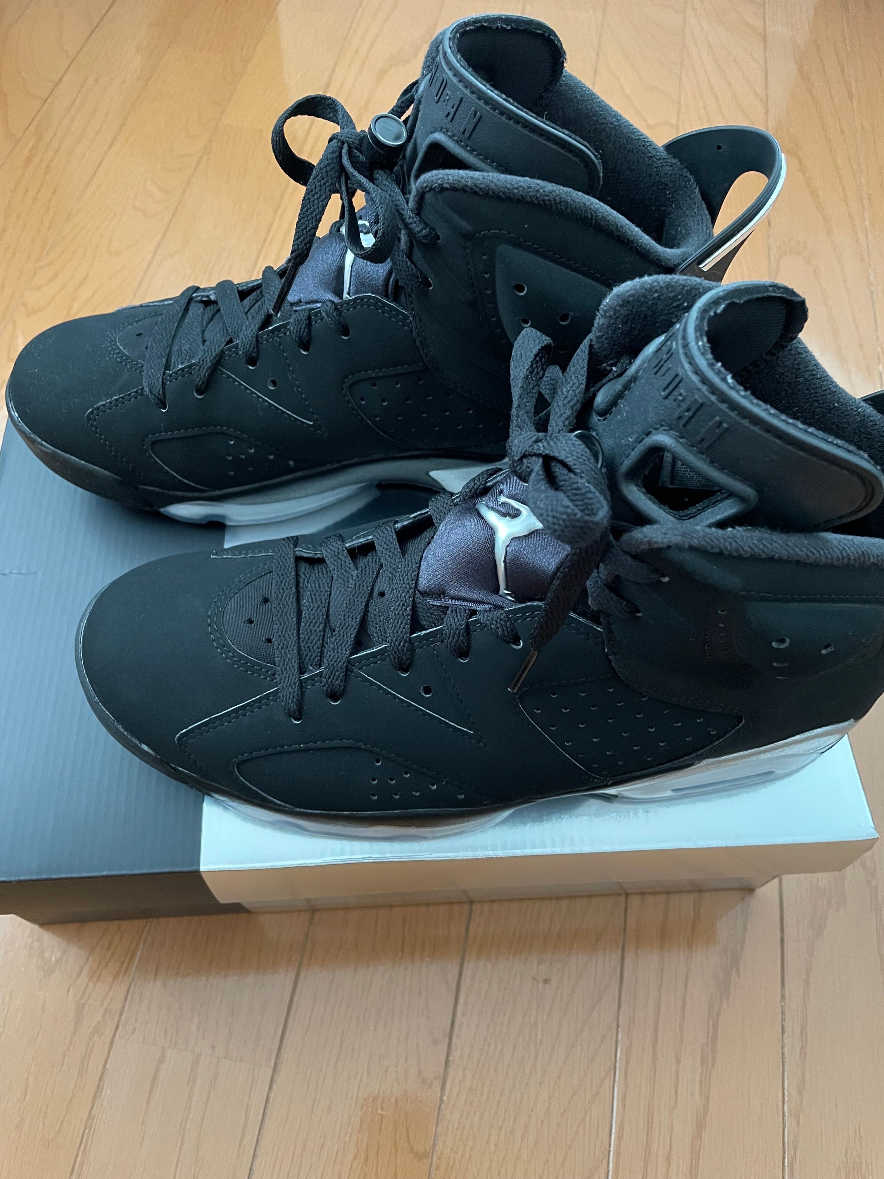 Nike Air Jordan 6 Retro "Metallic Silver"