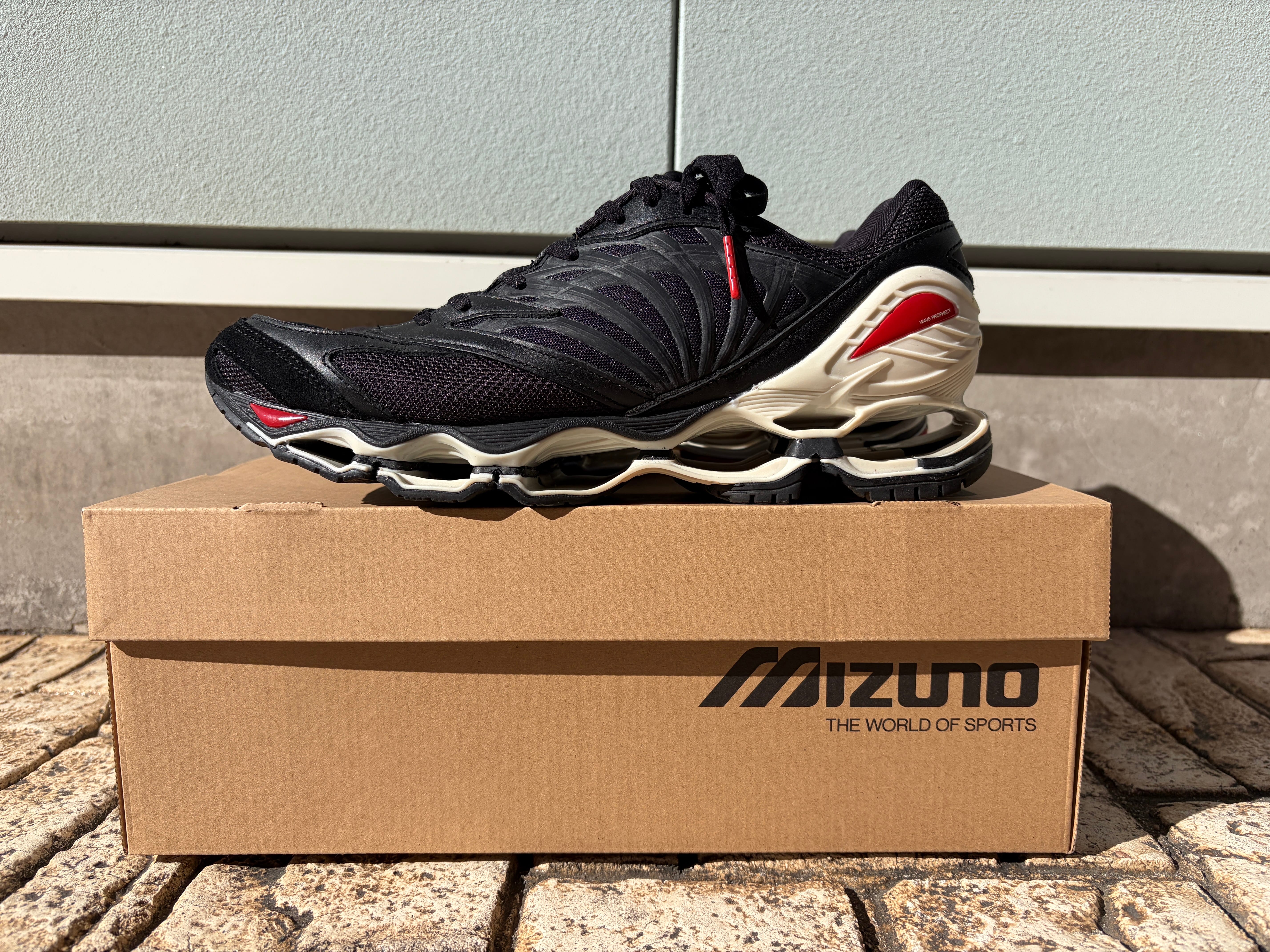 Graphpaper × Mizuno Wave Prophecy LS "SUMI"