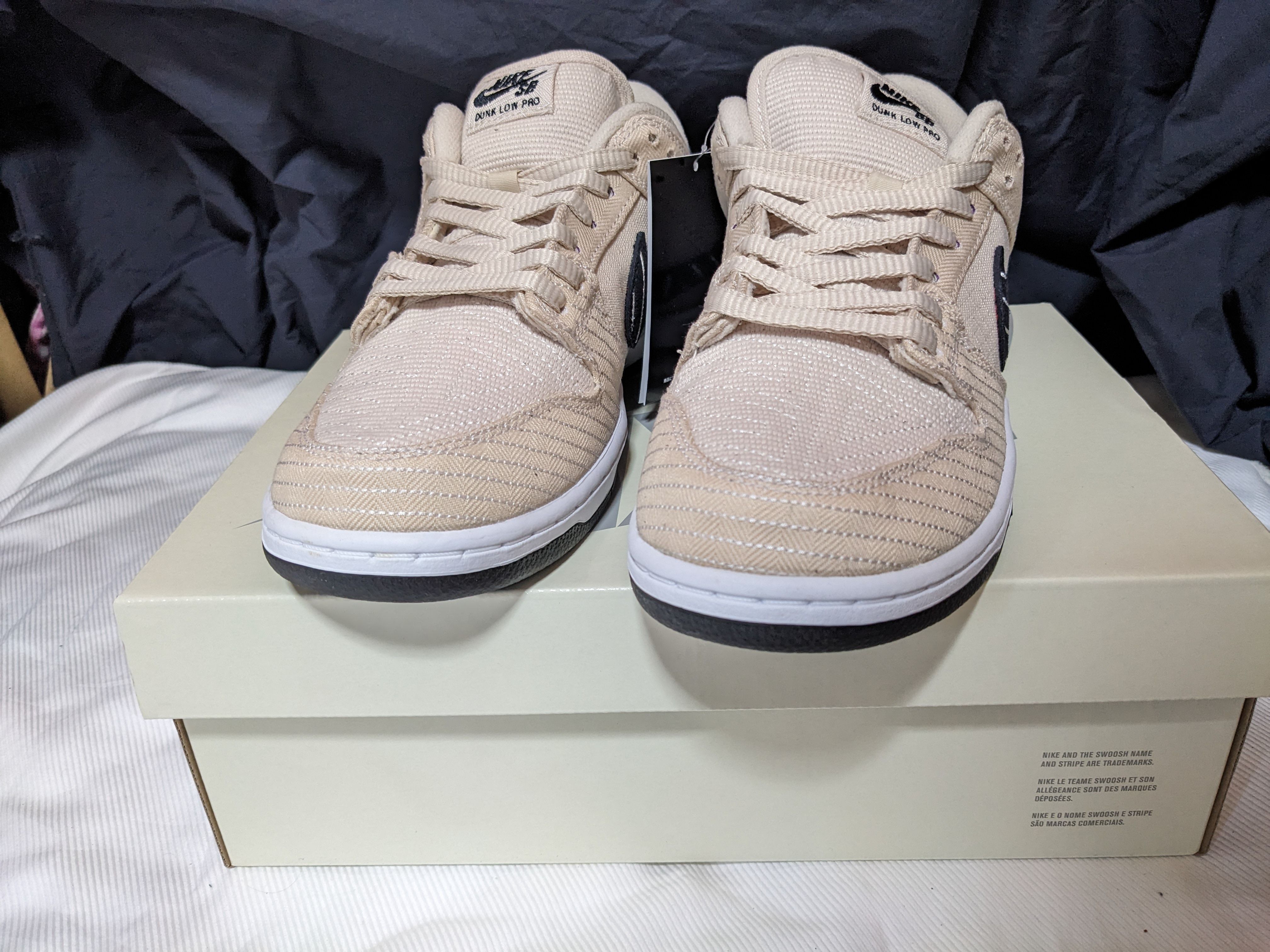 Albino & Preto × Nike SB Dunk Low Pro QS 