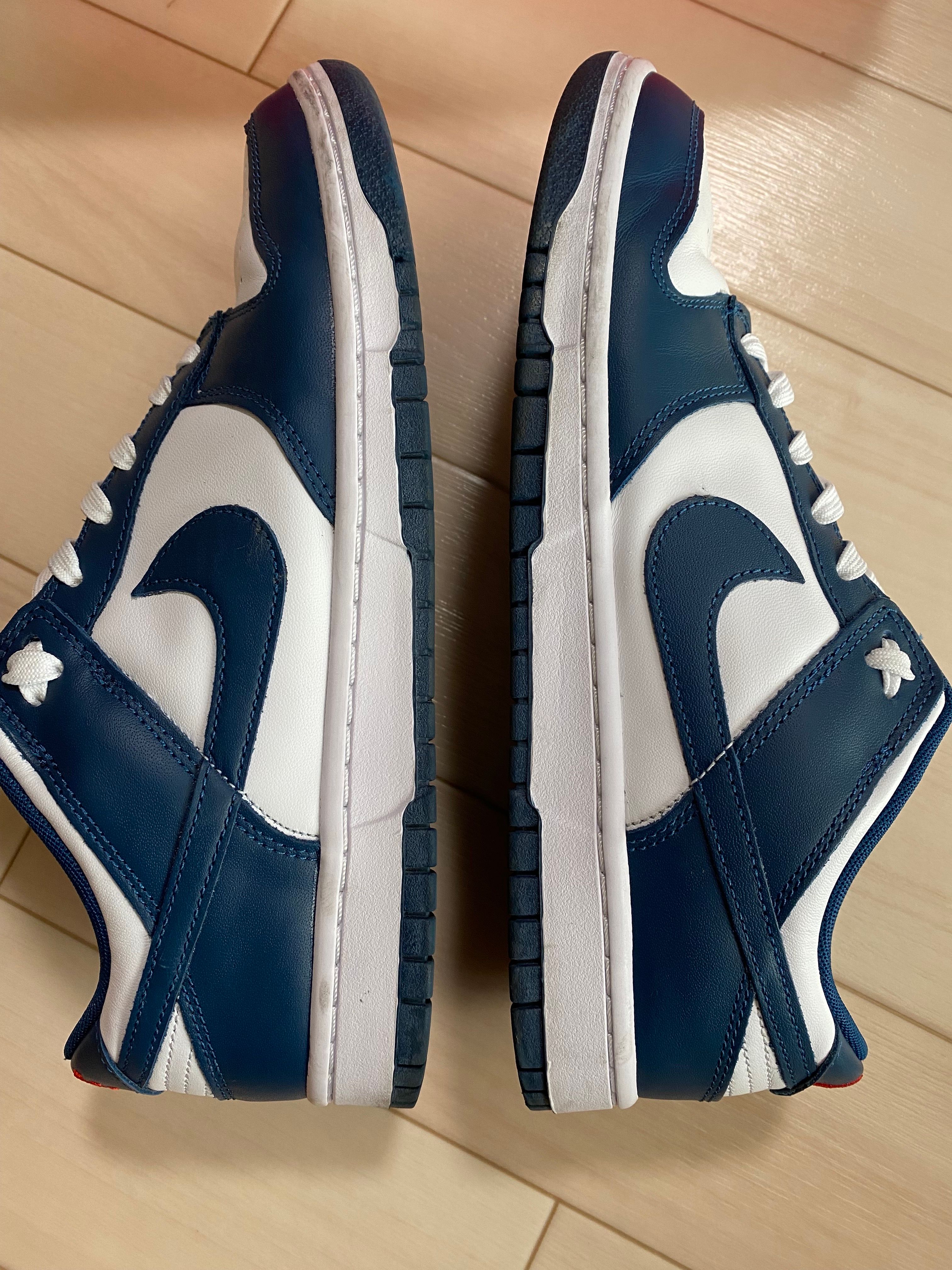 Nike Dunk Low "Valerian Blue"