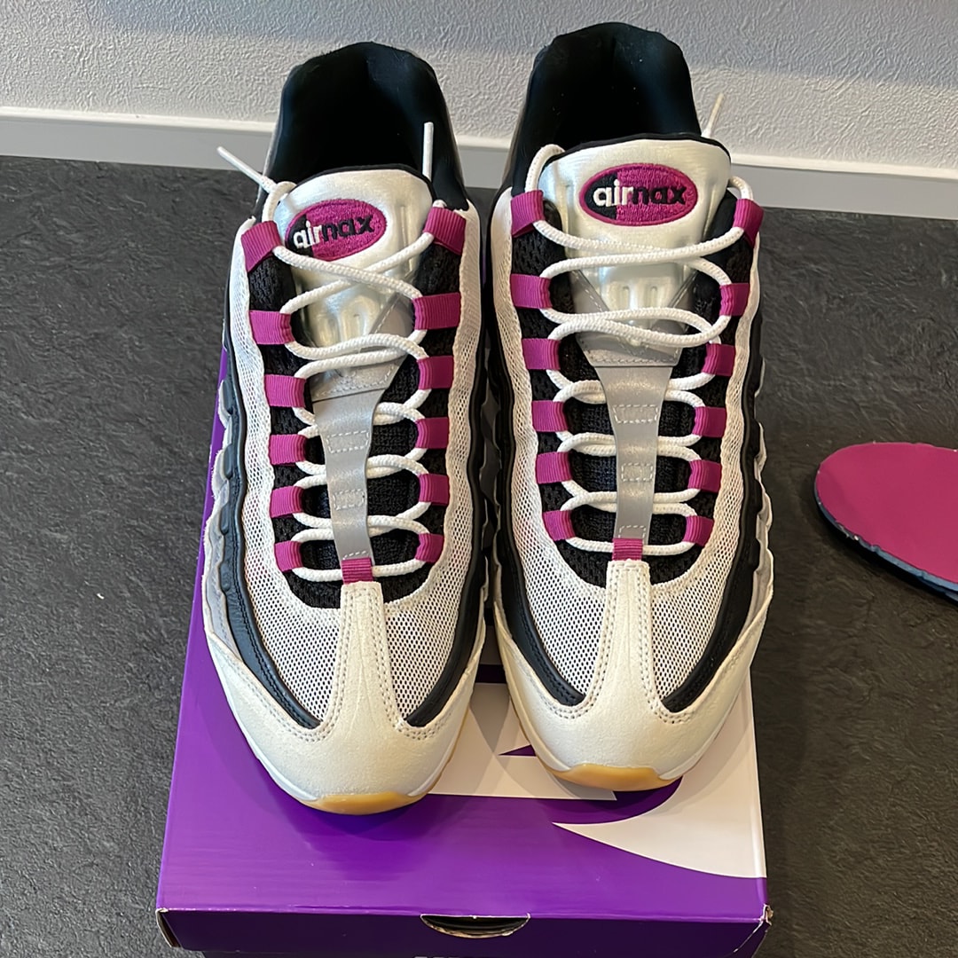 Nike SB Air Max 95 "Summit White/Cactus Flower"