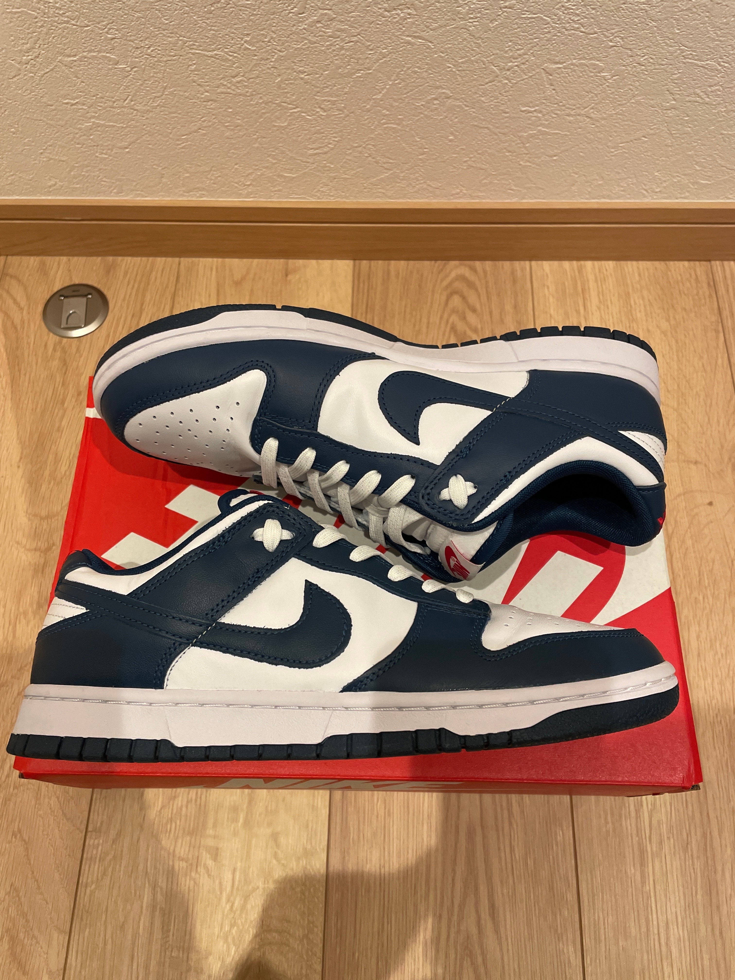 Nike Dunk Low "Valerian Blue"