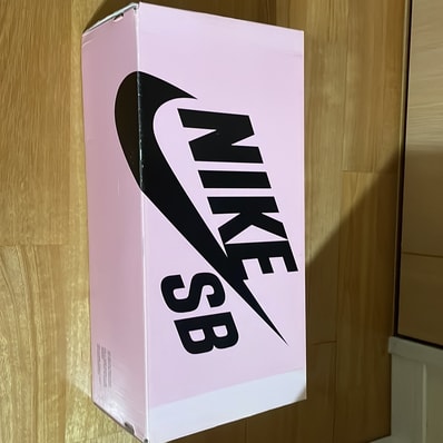 Nike SB Dunk Low TRD QS "Black Pigeon"