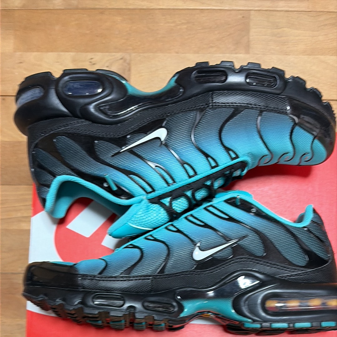 Nike Air Max Plus "Light Retro"