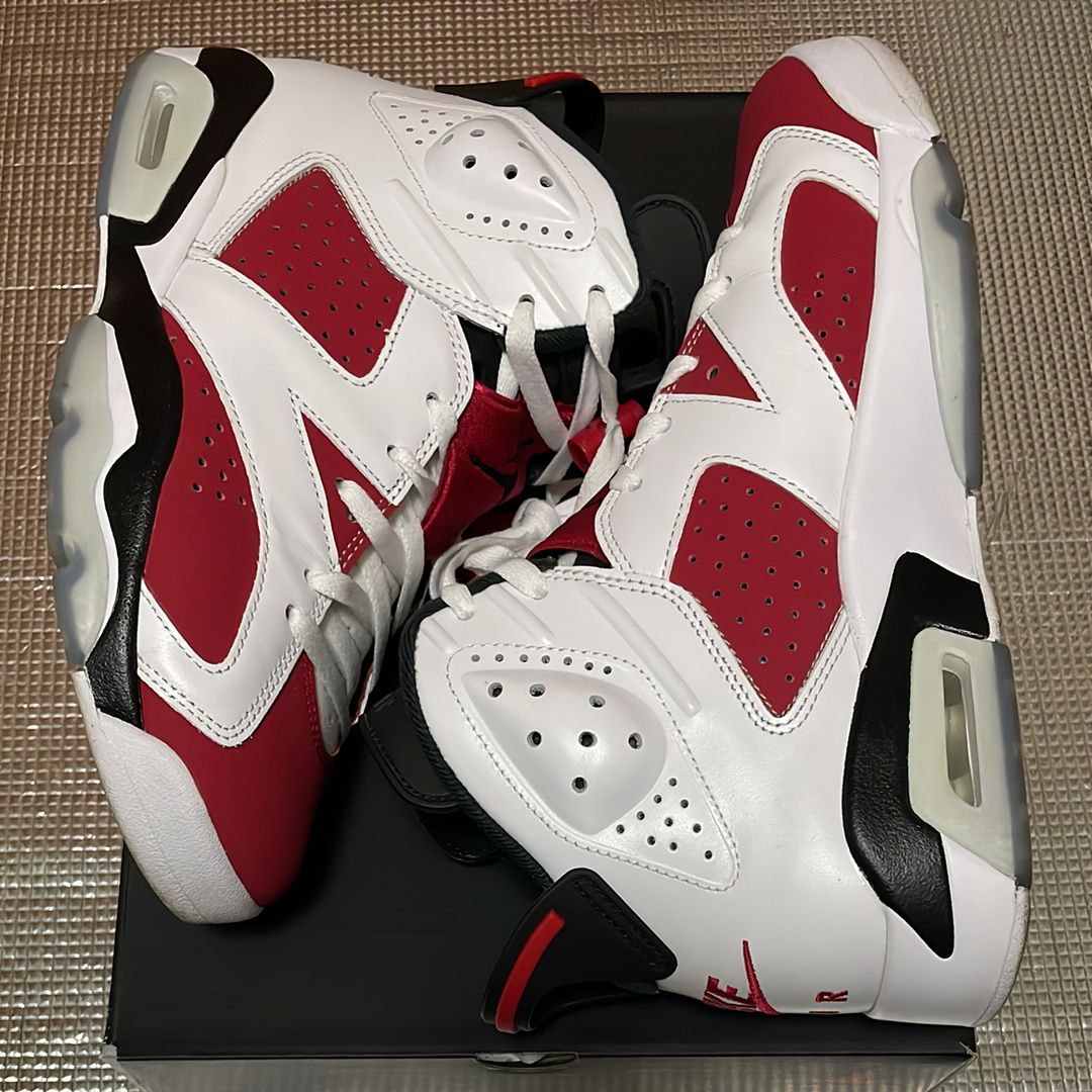 Nike Air Jordan 6 "Carmine" (2021)