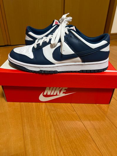 Nike Dunk Low "Valerian Blue"