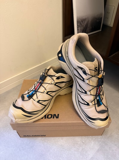 Salomon XT-6 GORE-TEX "Safari/Black"