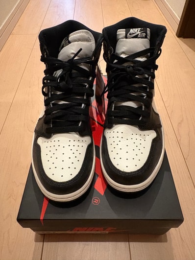 Nike Air Jordan 1 High OG "Sail/Dark Mocha/Black"