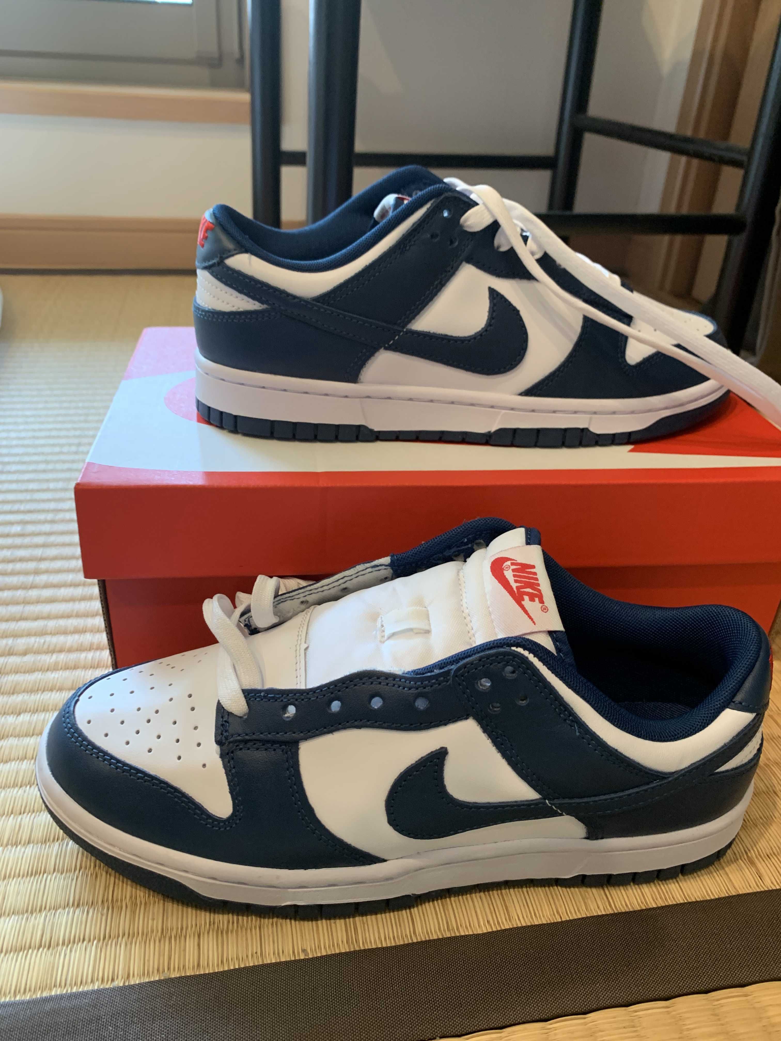 Nike Dunk Low "Valerian Blue"