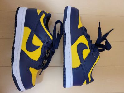 Nike PS Dunk Low "Michigan"