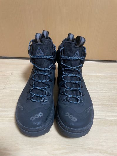 Nike ACG Air Zoom Gaiadome Gore-Tex "Black"