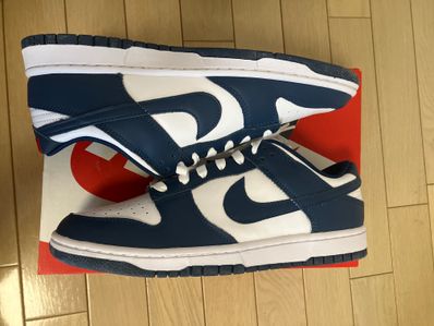 Nike Dunk Low "Valerian Blue"