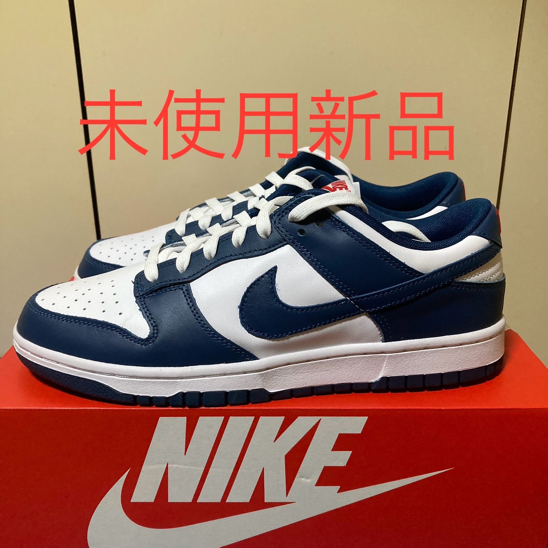 Nike Dunk Low "Valerian Blue"