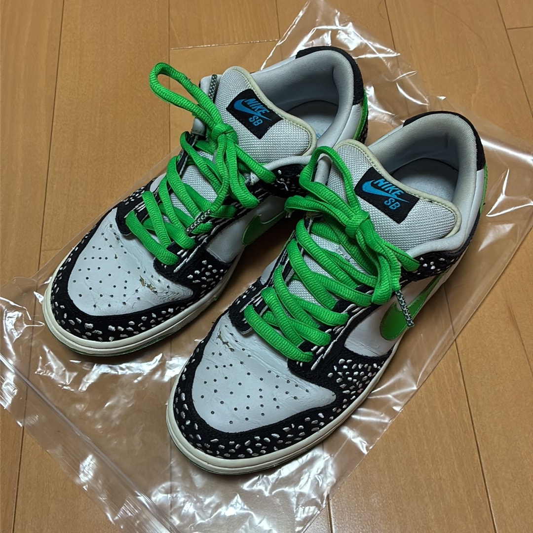 Nike SB Dunk Low "Loon"