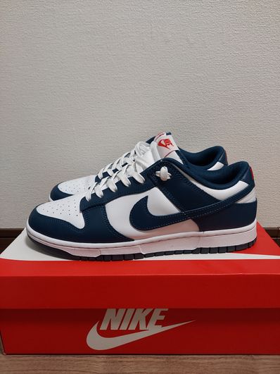 Nike Dunk Low "Valerian Blue"