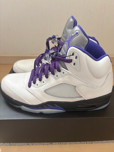 Nike Air Jordan 5 "Dark Concord"