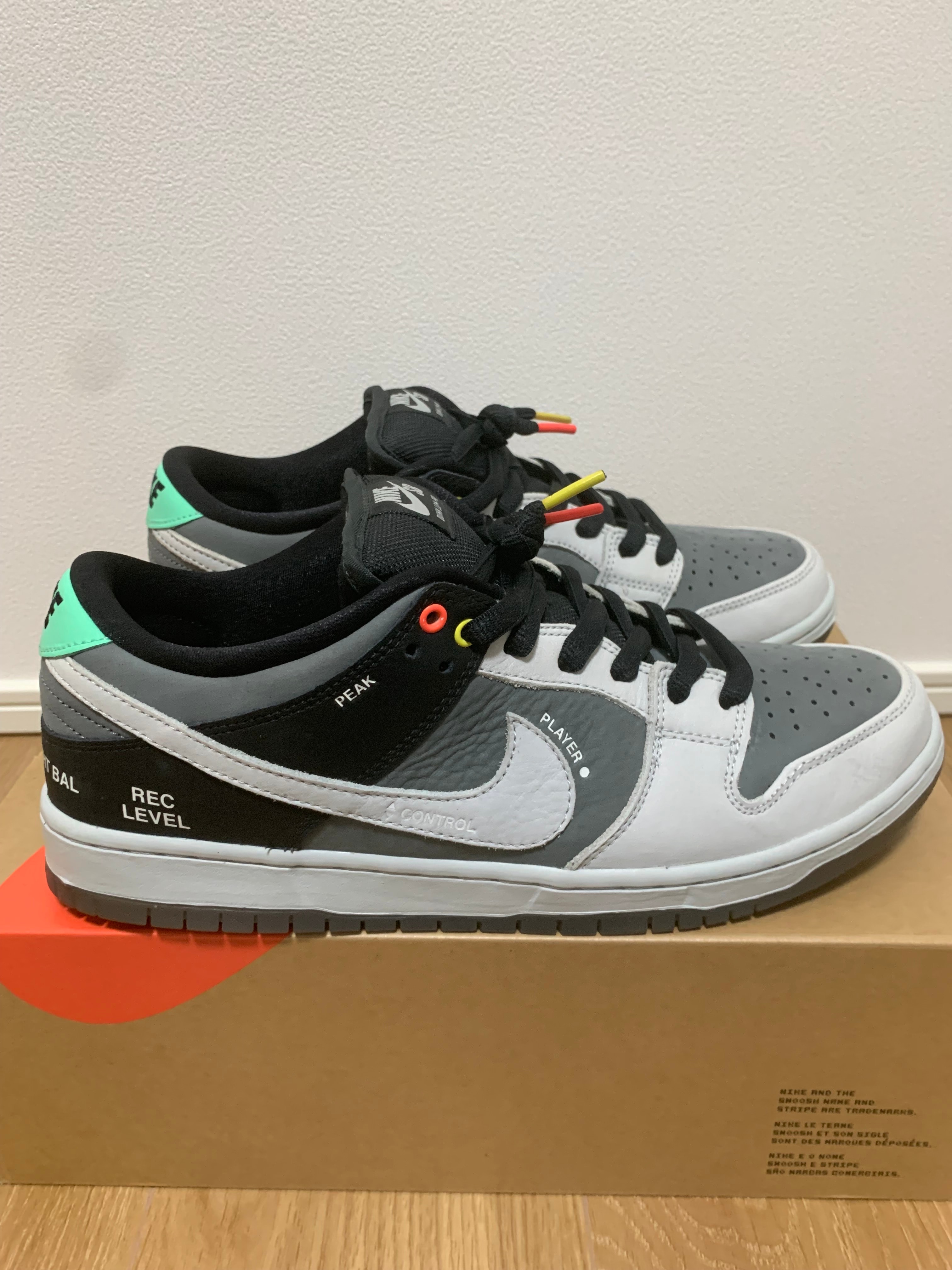 Nike SB Dunk Low Pro "VX1000 Camcorder"