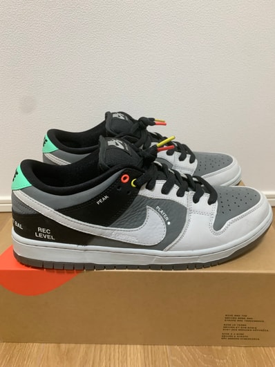 Nike SB Dunk Low Pro "VX1000 Camcorder"