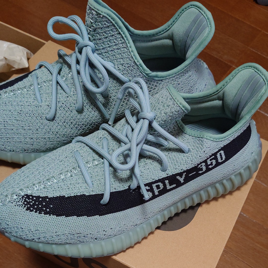 adidas YEEZY Boost 350V2 "Salt/Core Black"