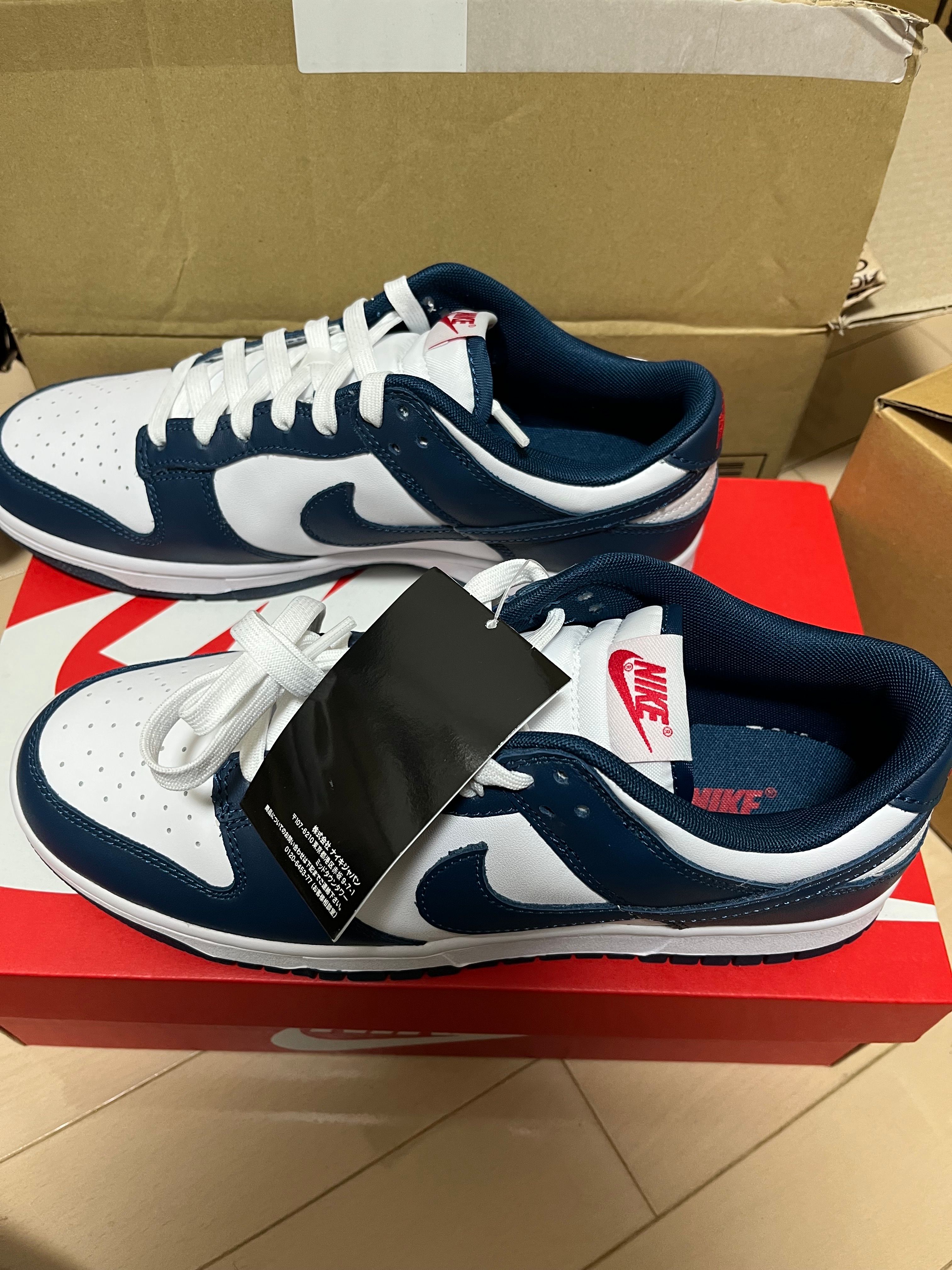 Nike Dunk Low "Valerian Blue"