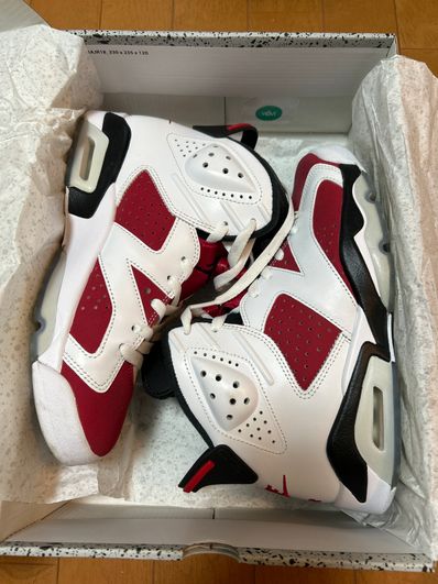 Nike Air Jordan 6 "Carmine" (2021)