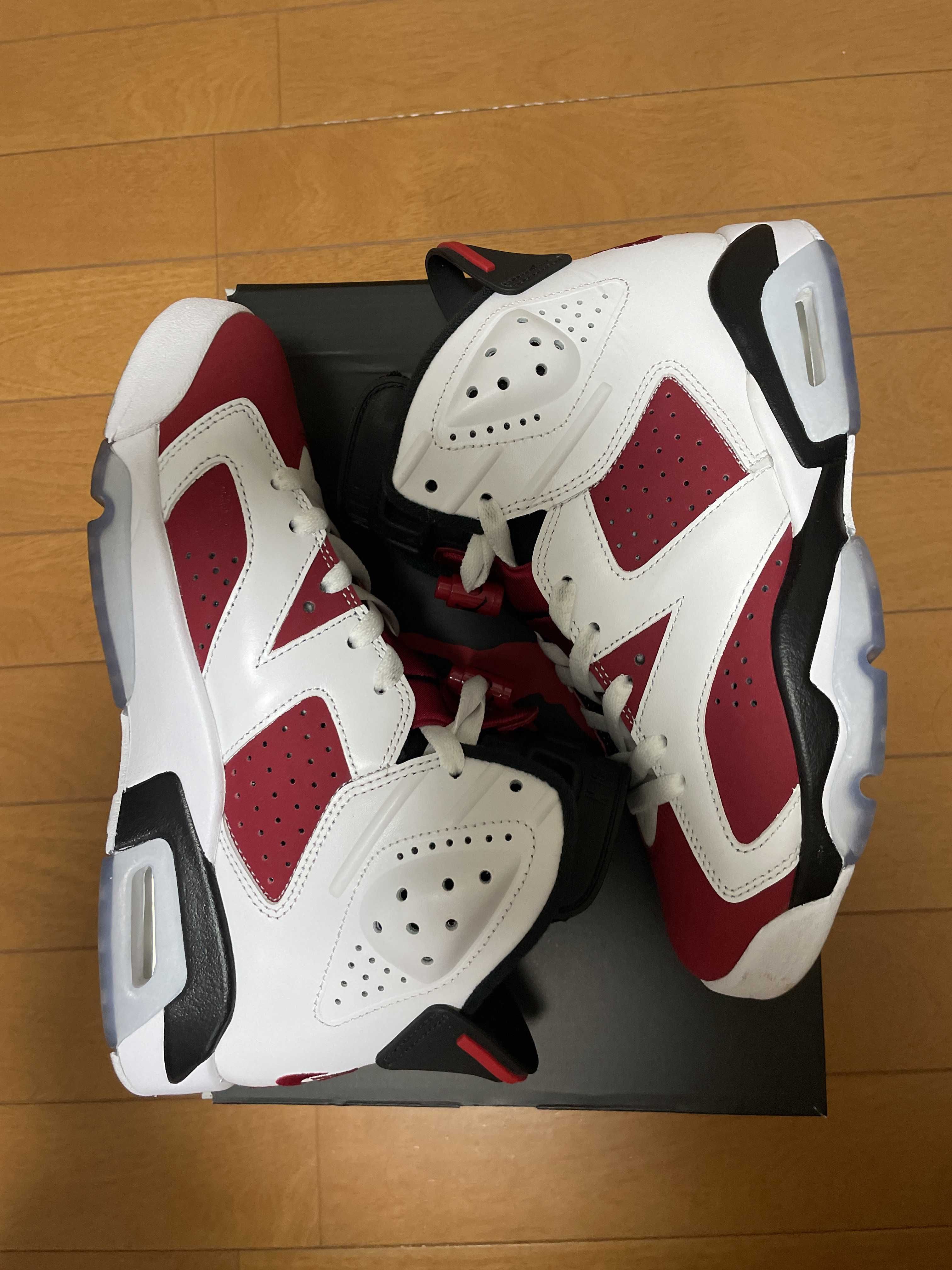 Nike Air Jordan 6 "Carmine" (2021)
