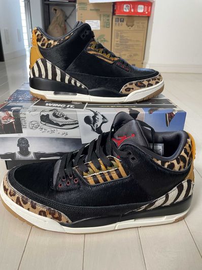 Nike Air Jordan 3 Retro SE "Animal Instinct/Safari"