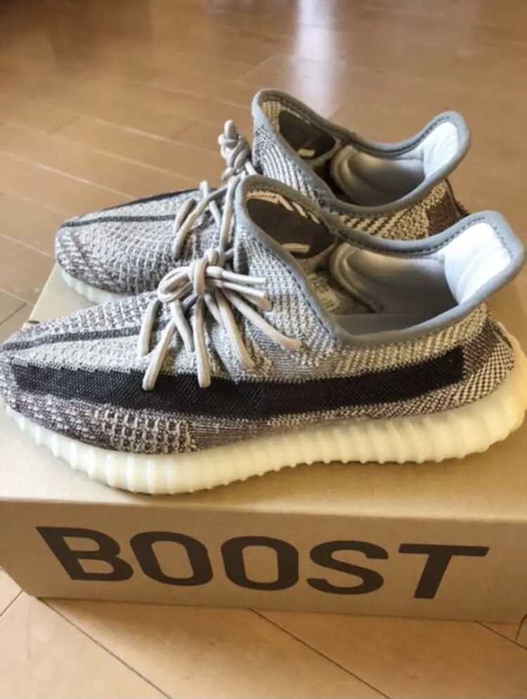 adidas YEEZY Boost 350 V2 "Zyon"