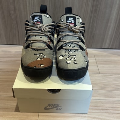 Supreme × Nike SB Darwin Low "Desert Camo"