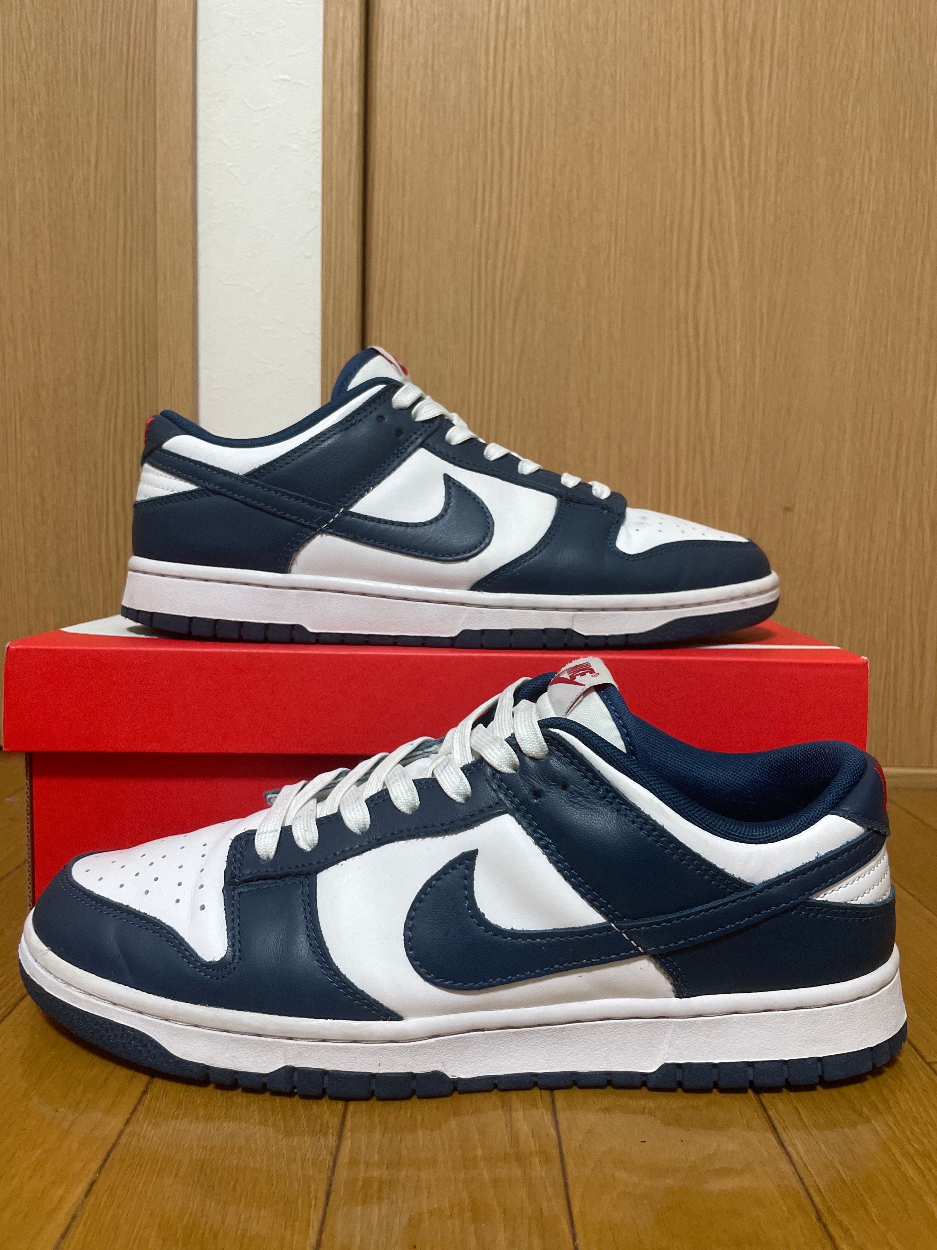 Nike Dunk Low "Valerian Blue"