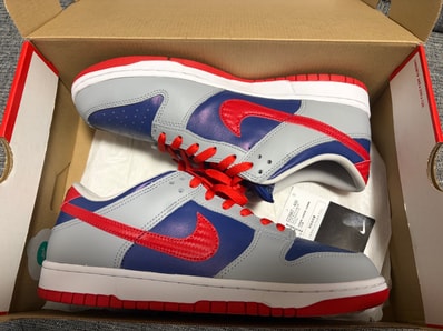 Nike Dunk Low "Samba"