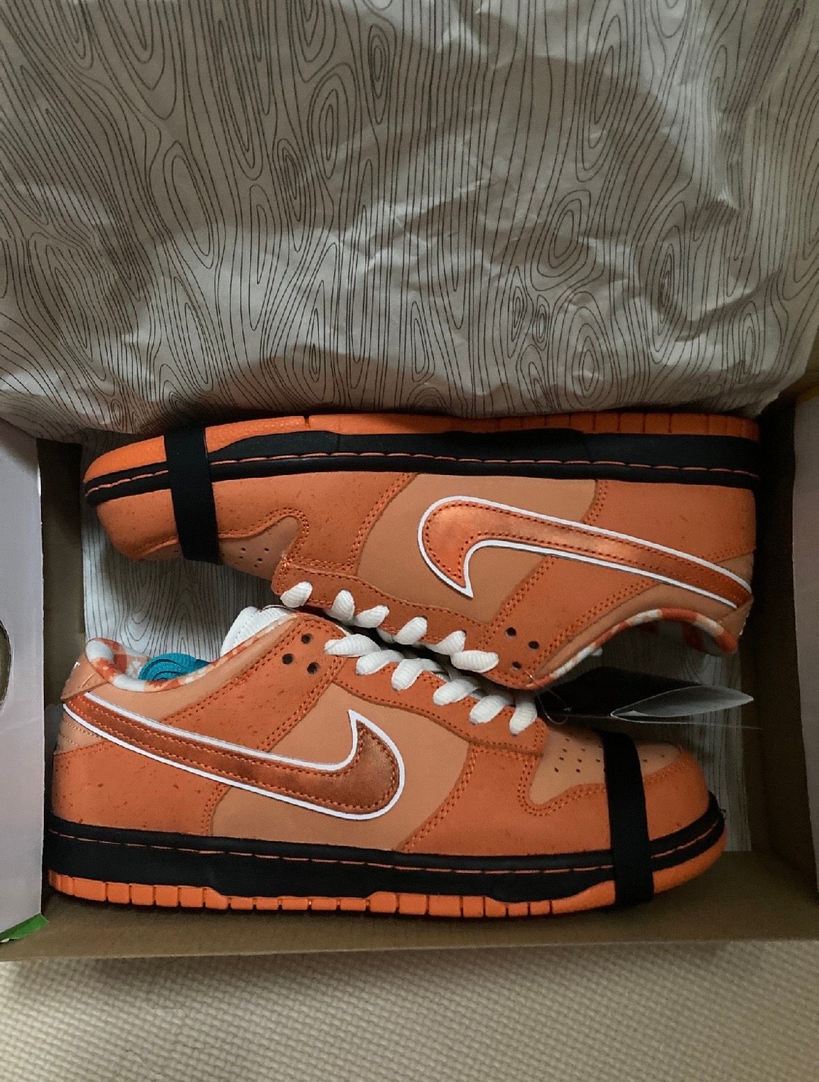 Concepts × Nike SB Dunk Low SP "Orange Lobster"