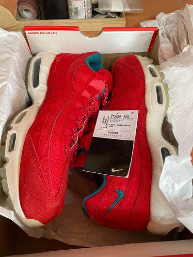 Nike Air Max 95 "Mount Fuji"